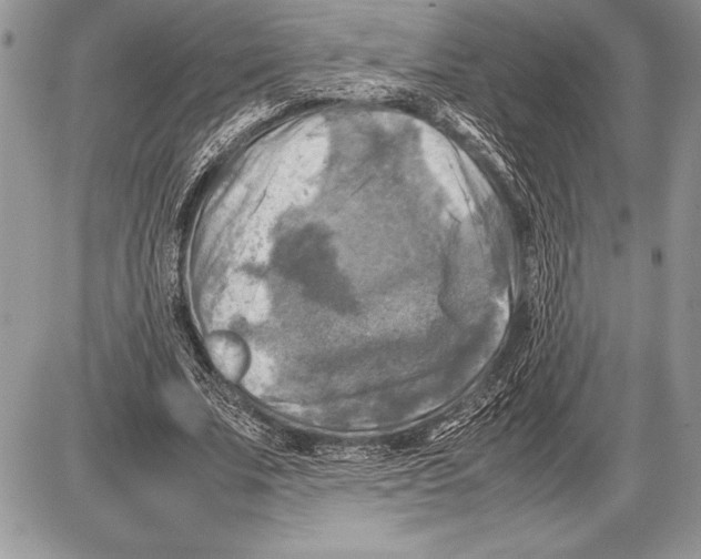 X0000085730679200704131620