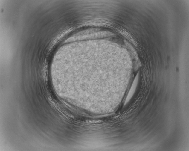 X0000085730680200704131620