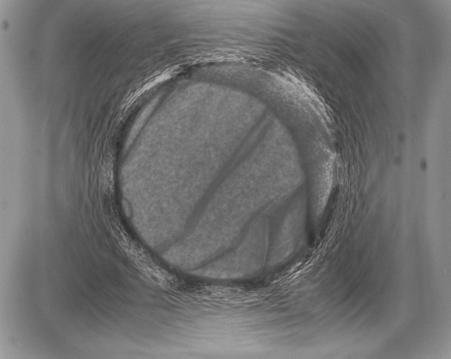 X0000085730681200704131620