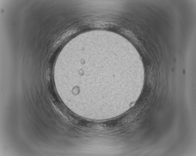 X0000085730683200704131620