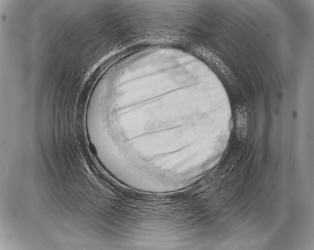 X0000085730684200704131620