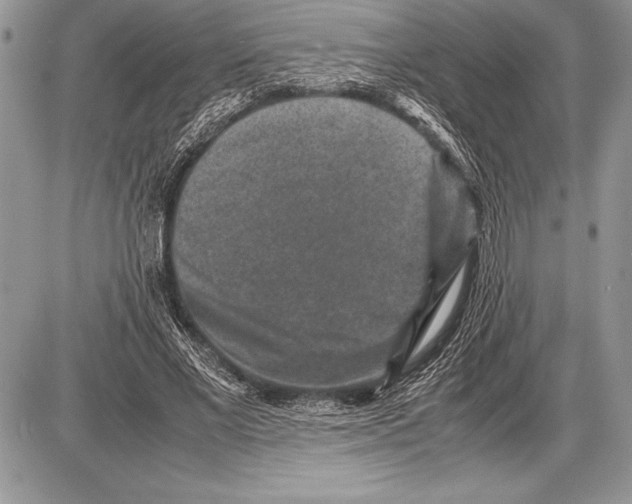 X0000085730685200704131620