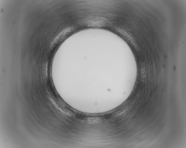 X0000085730686200704131620