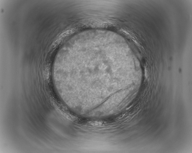 X0000085730687200704131620