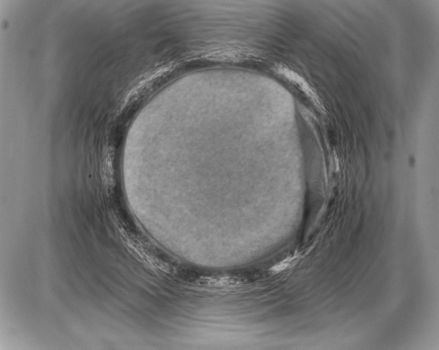 X0000085730688200704131619