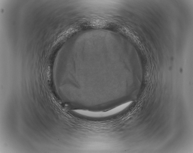 X0000085730689200704131619