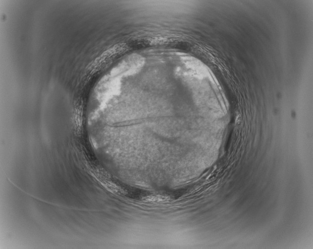 X0000085730691200704131619