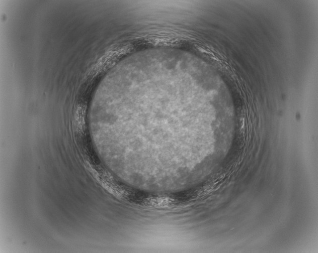 X0000085730695200704131619