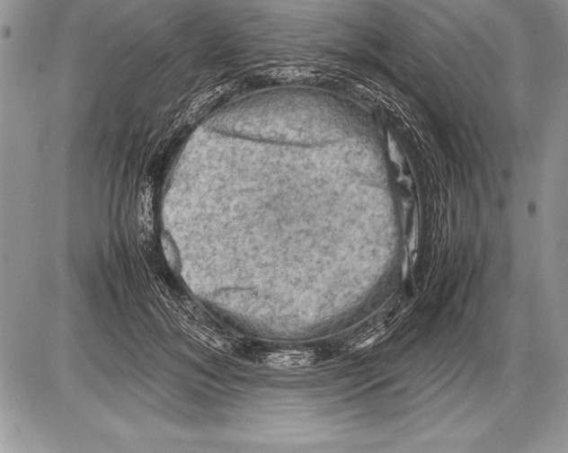 X0000085730700200704131619