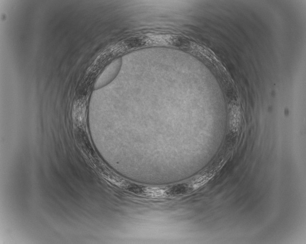 X0000085730701200704131619