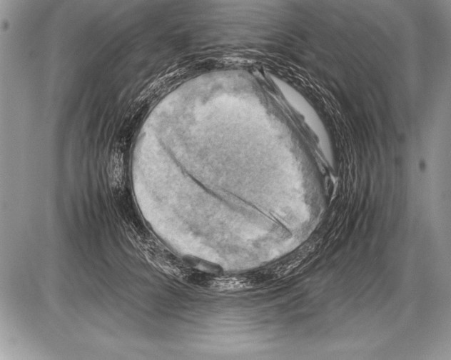 X0000085730704200704131619