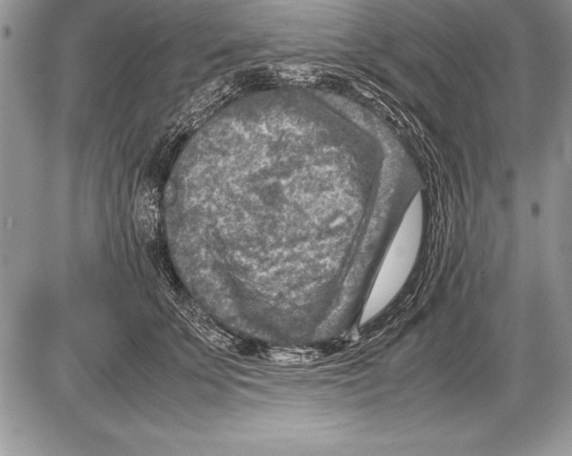 X0000085730707200704131619