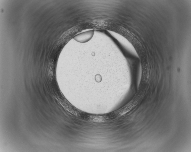 X0000085730710200704131619