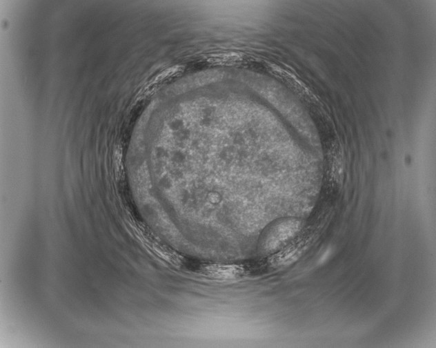 X0000085730711200704131619