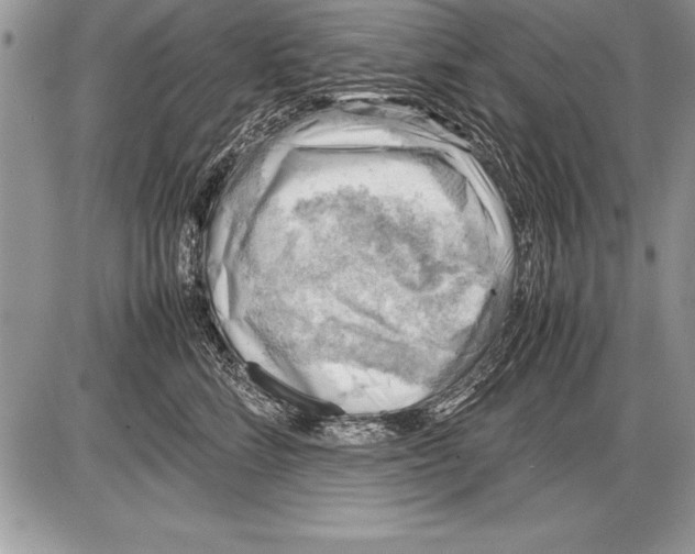 X0000085730712200704131619