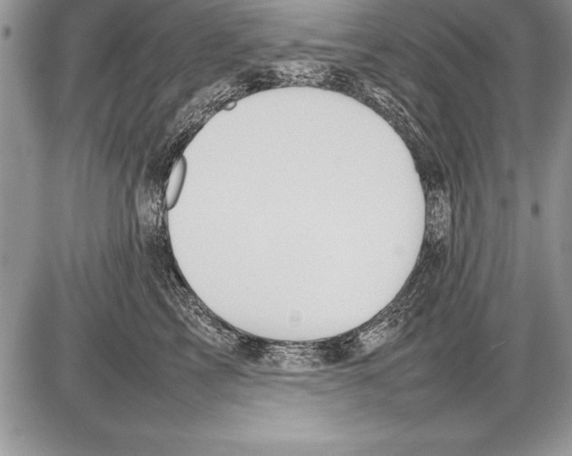 X0000085730713200704131619