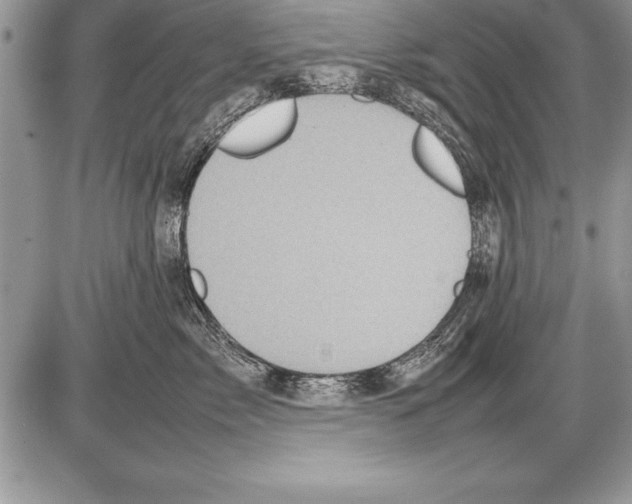 X0000085730717200704131619