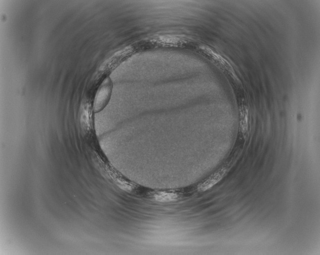 X0000085730718200704131619