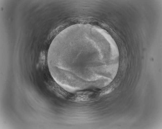 X0000085730720200704131619