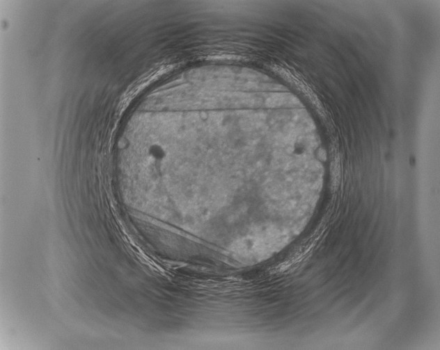 X0000085730721200704131618