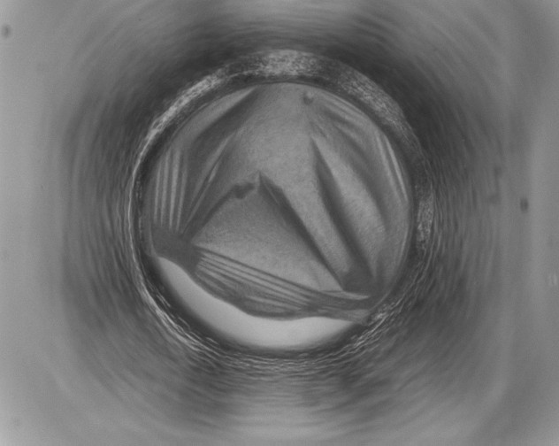 X0000085730722200704131618