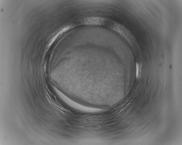 X0000085730723200704131618