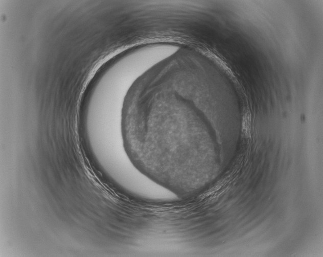 X0000085730724200704131618