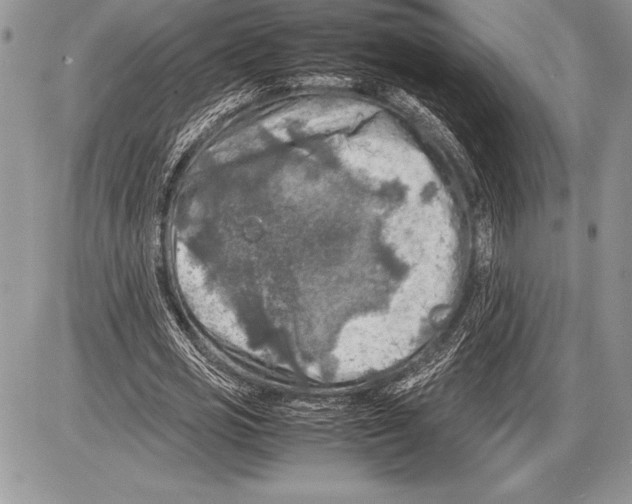 X0000085730725200704131618