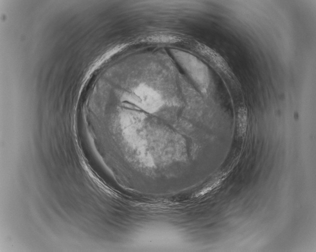 X0000085730726200704131618