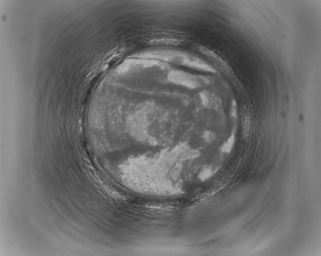 X0000085730729200704131618