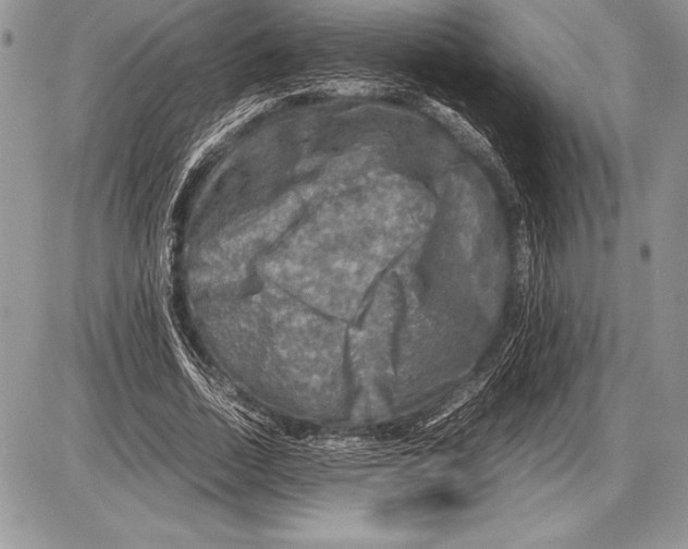 X0000085730730200704131618