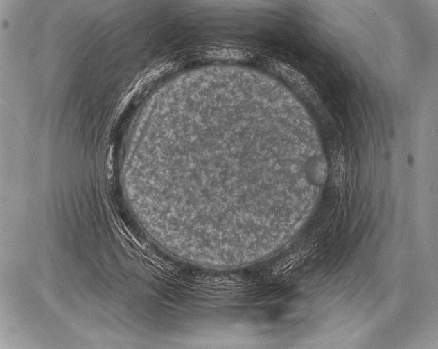 X0000085730731200704131618