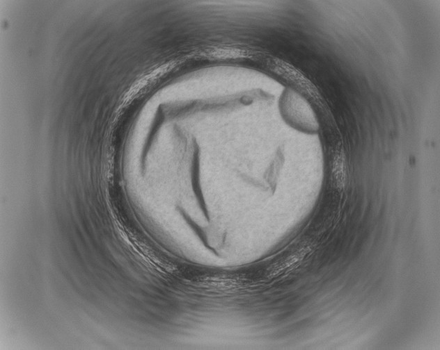 X0000085730732200704131618