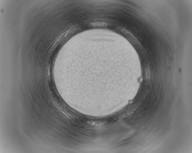 X0000085730733200704131618