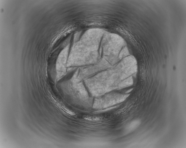 X0000085730735200704131618