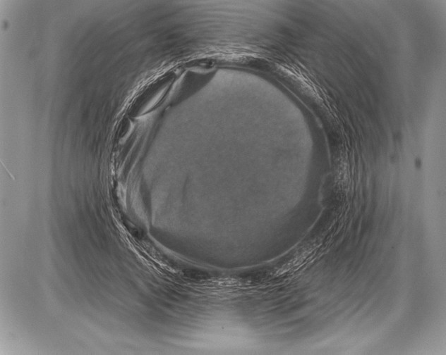 X0000085730736200704131618