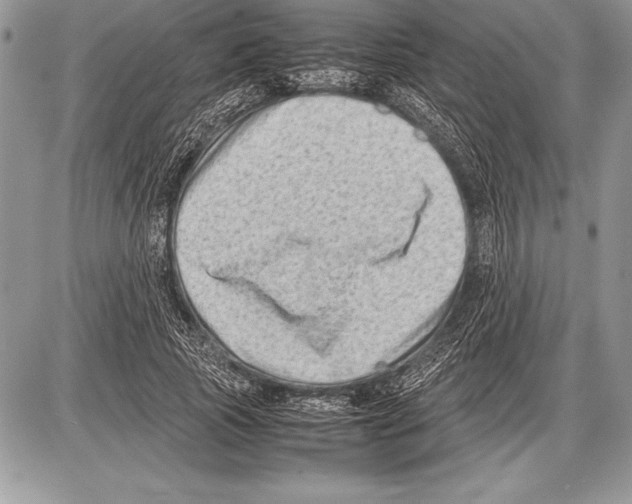 X0000085730737200704131618