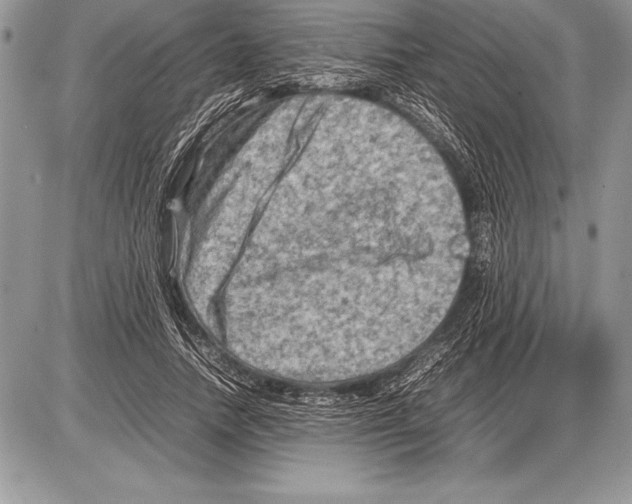 X0000085730738200704131618