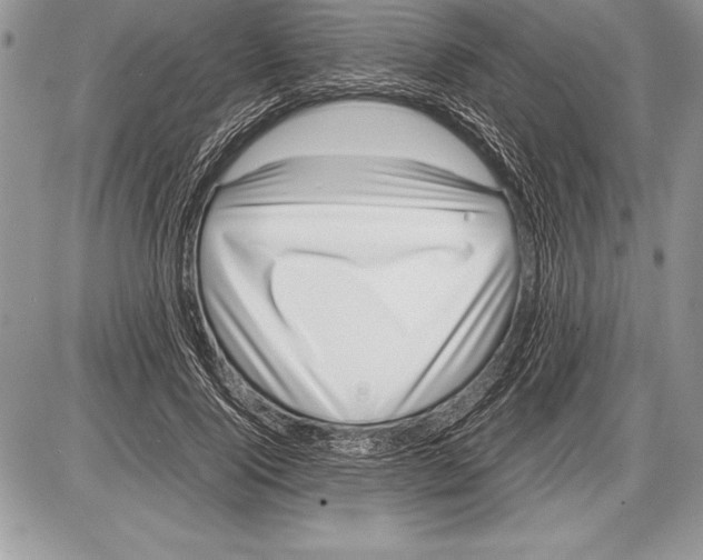 X0000085730740200704131618