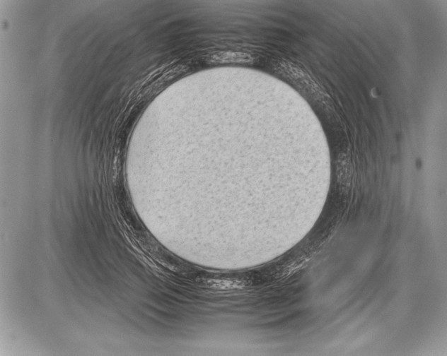 X0000085730741200704131619