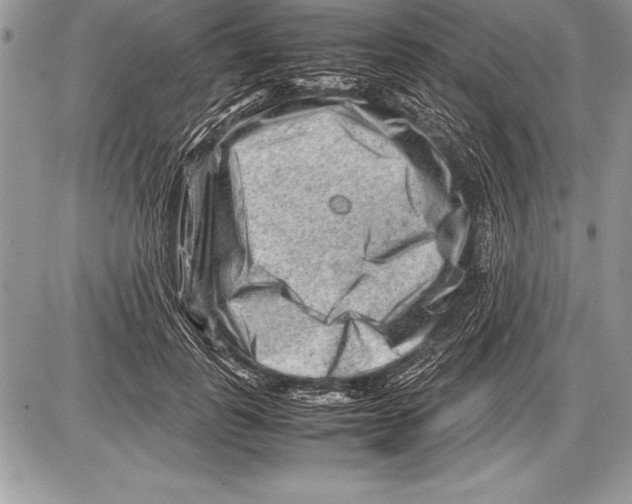 X0000085730747200704131619