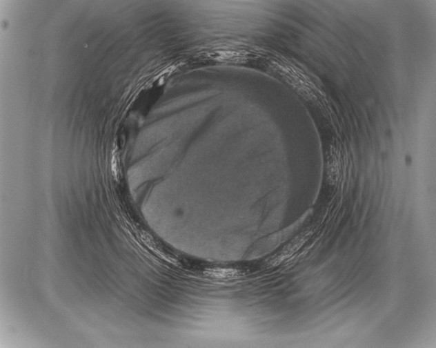 X0000085730748200704131619