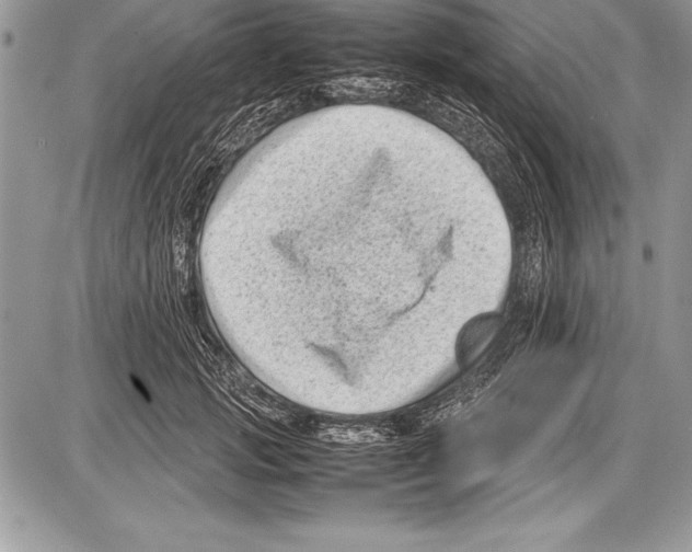 X0000085730749200704131619