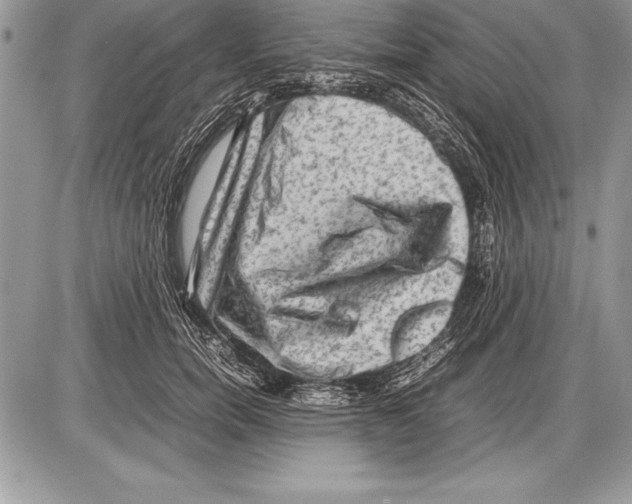 X0000085730750200704131619