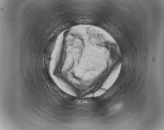 X0000085730751200704131619