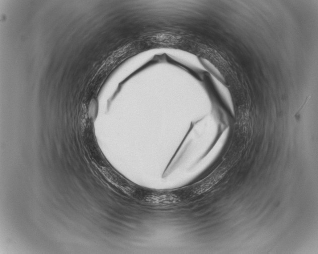 X0000085730752200704131619