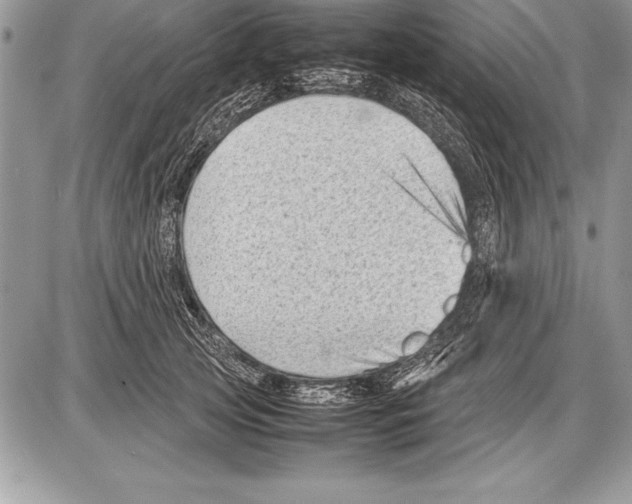 X0000085730753200704131619