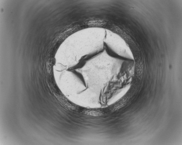 X0000085730755200704131619