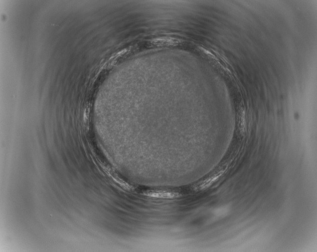 X0000085730759200704131619