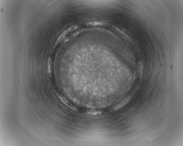 X0000085730760200704131619